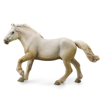 American Cream Draft Stallion - Cream