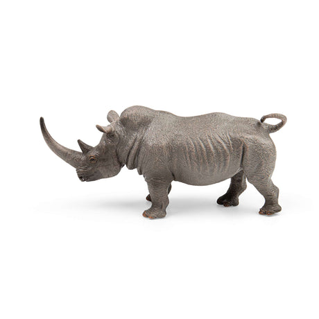 White Rhinoceros