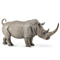 White Rhinoceros