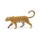 African Leopard