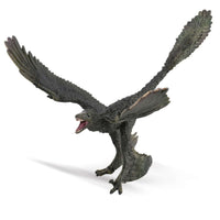 Microraptor- 1:6 Scale