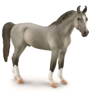 Marwari Stallion - Grey