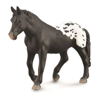 Sugarbush Draft Mare - Black Blanket w Spots