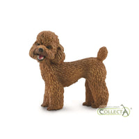 Poodle