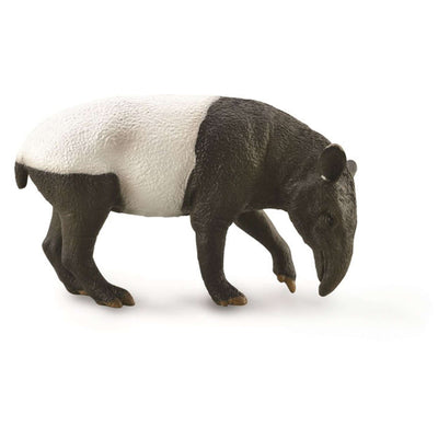 Malayan Tapir