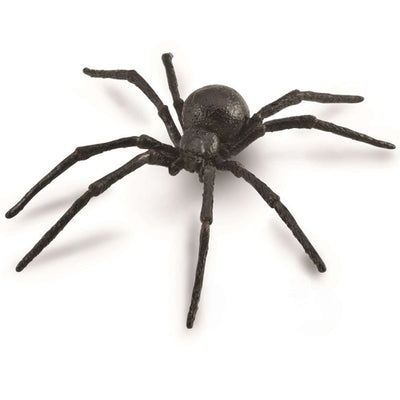 Black Widow Spider