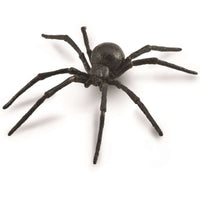 Black Widow Spider