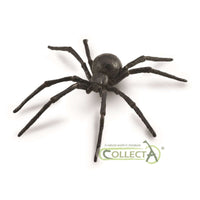Black Widow Spider