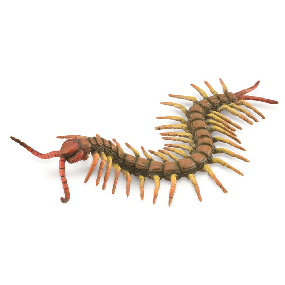 Centipede