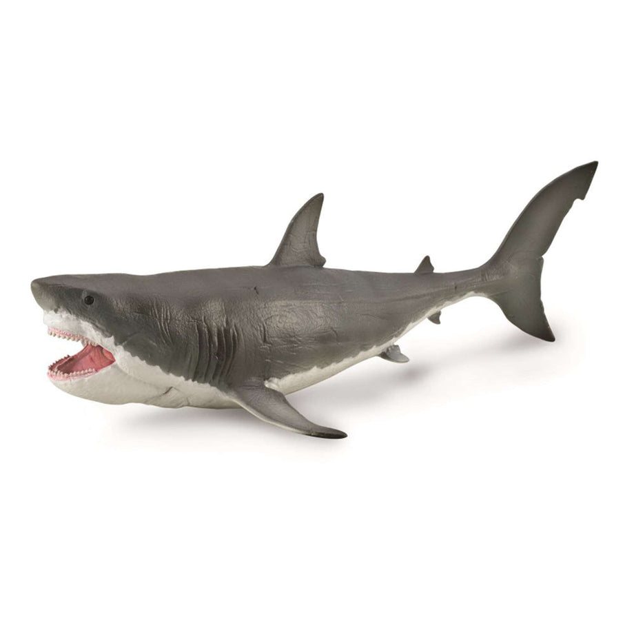 Megalodon with Movable Jaw CollectA Bigjigs Toys