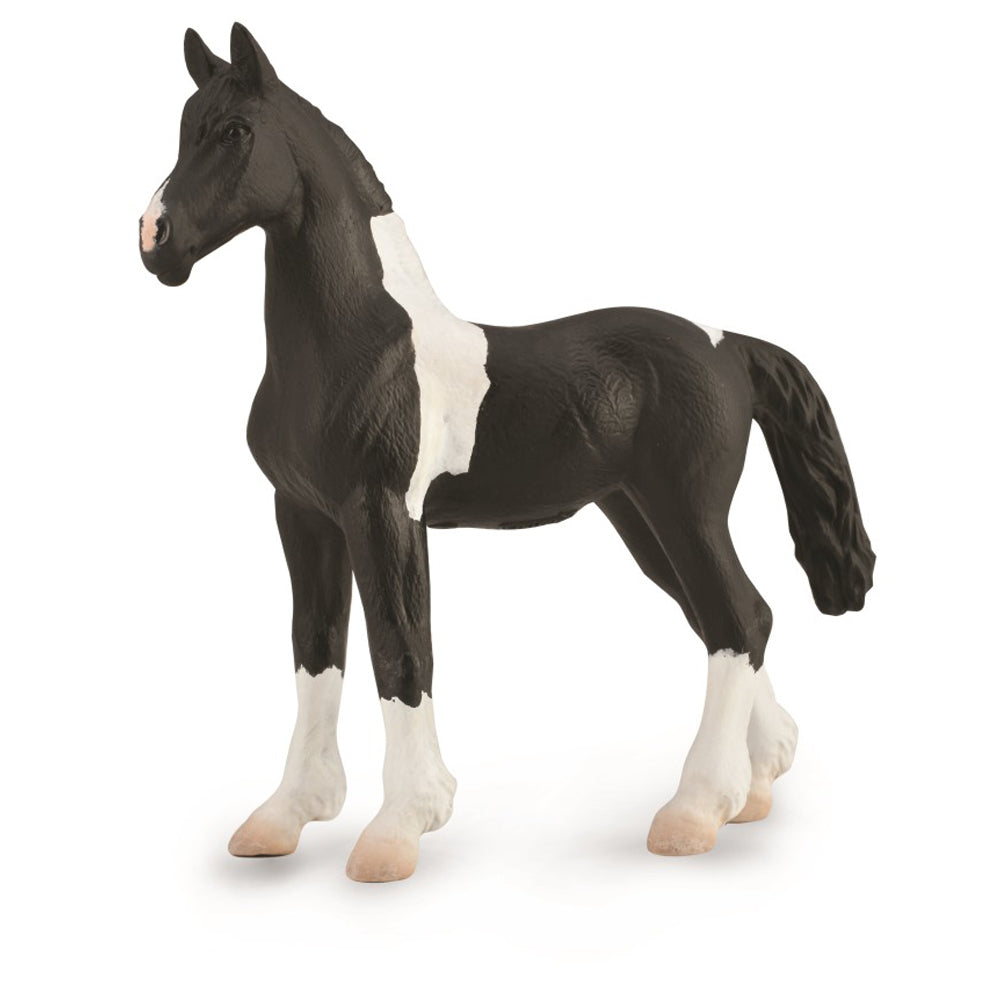 Barock Pinto Foal