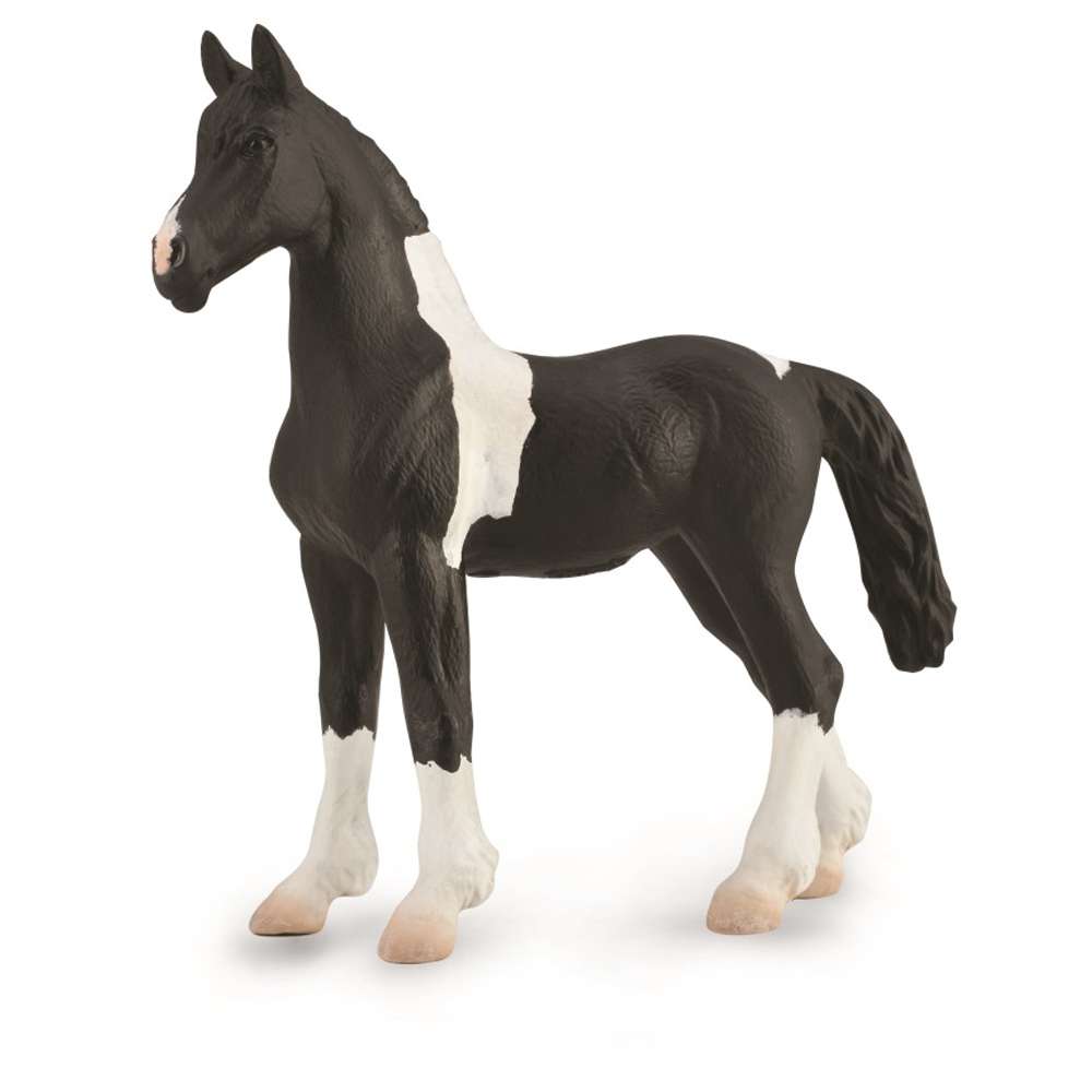 Barock Pinto Foal