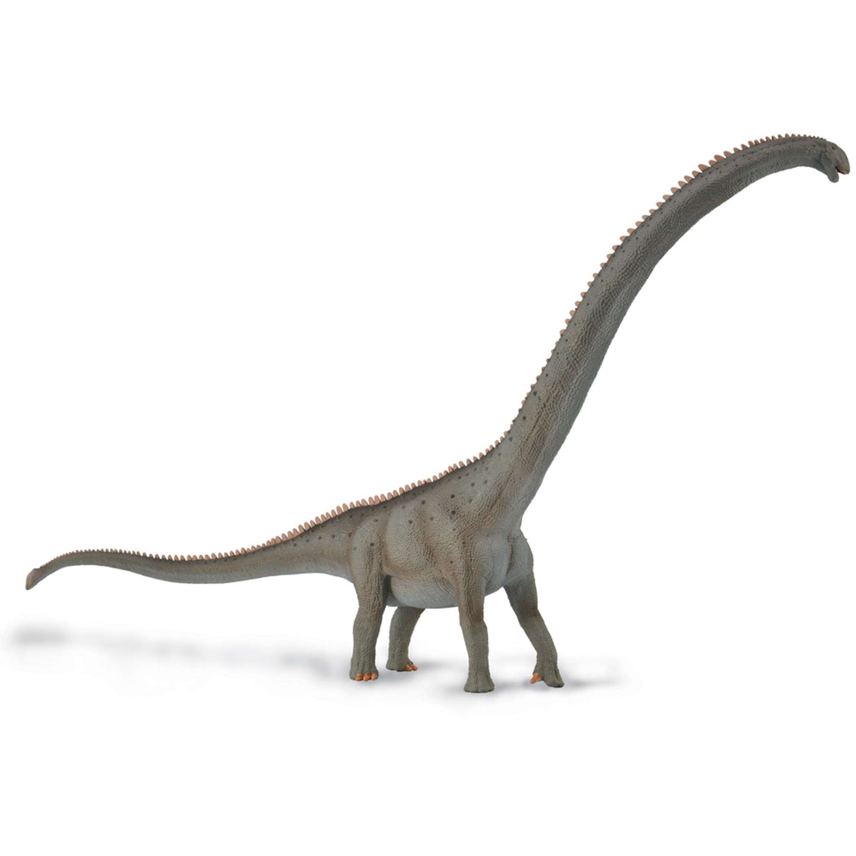 Mamenchisaurus - Deluxe 1:100 Scale