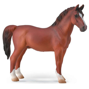 Hackney Stallion Chestnut