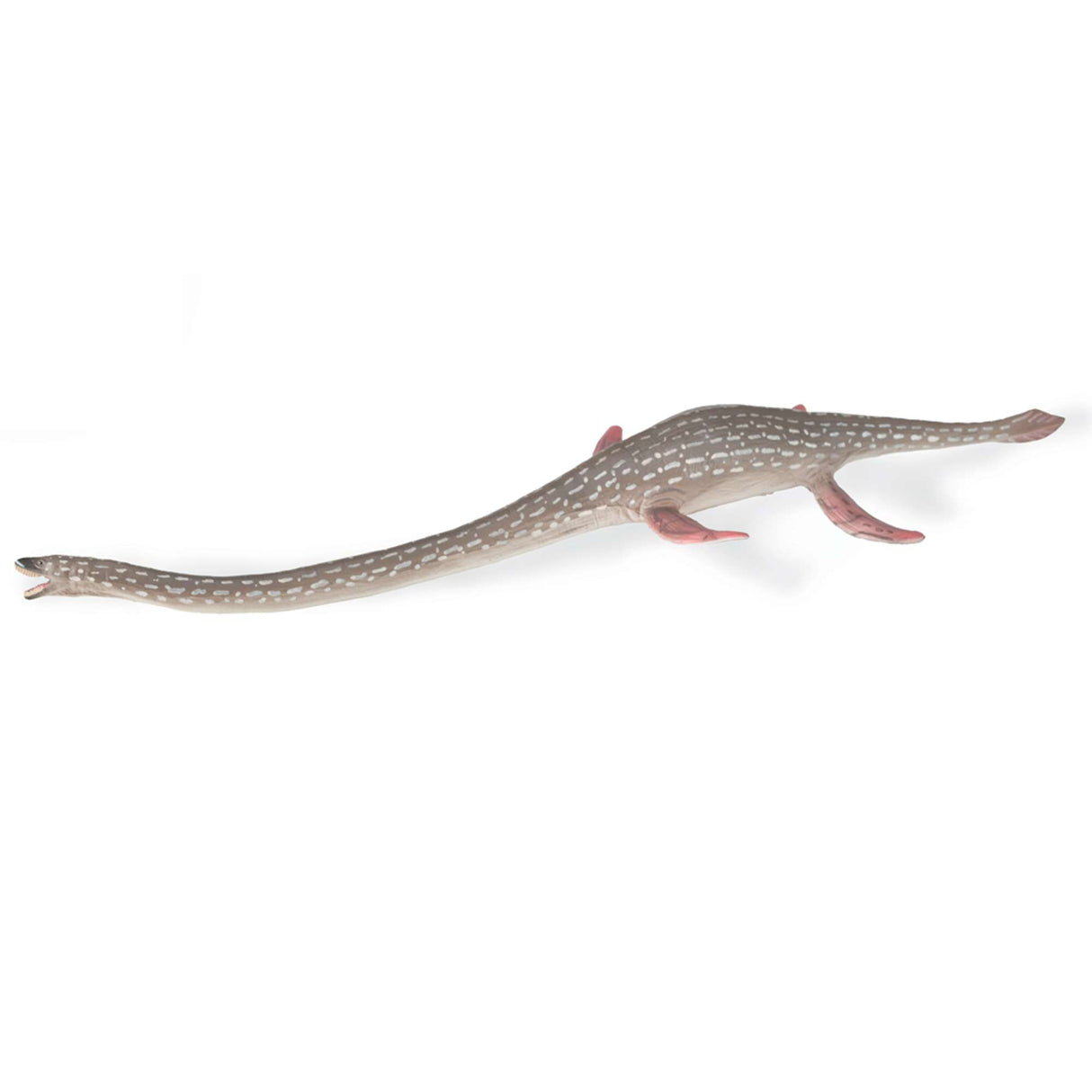 Elasmosaurus