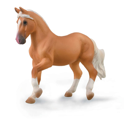 Paso Fino Mare - Palomino