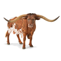 Texas Longhorn Bull