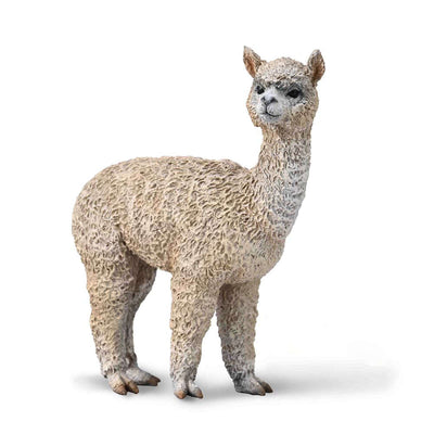 Alpaca