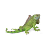 Iguana
