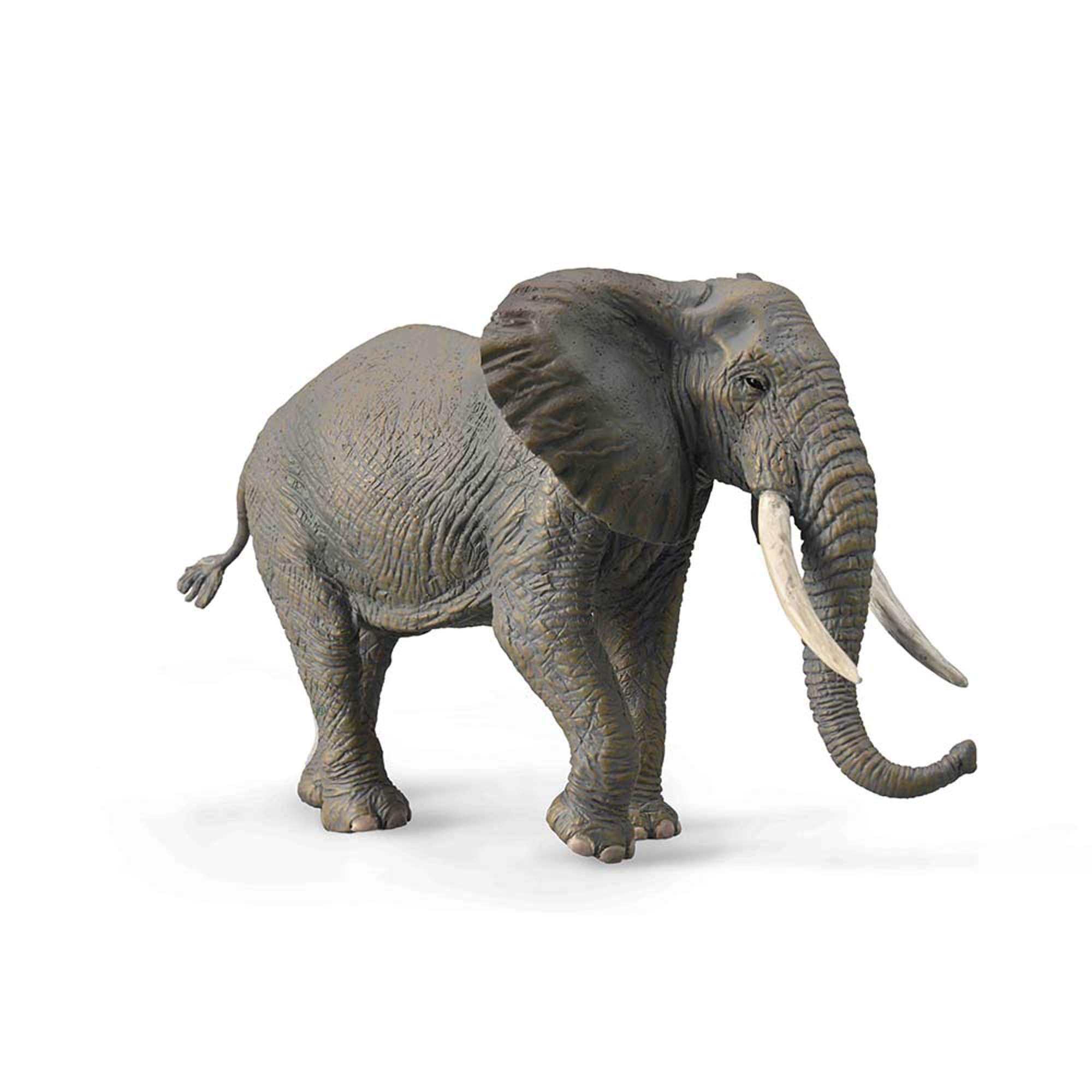 African Elephant Toy | CollectA | Bigjigs Toys