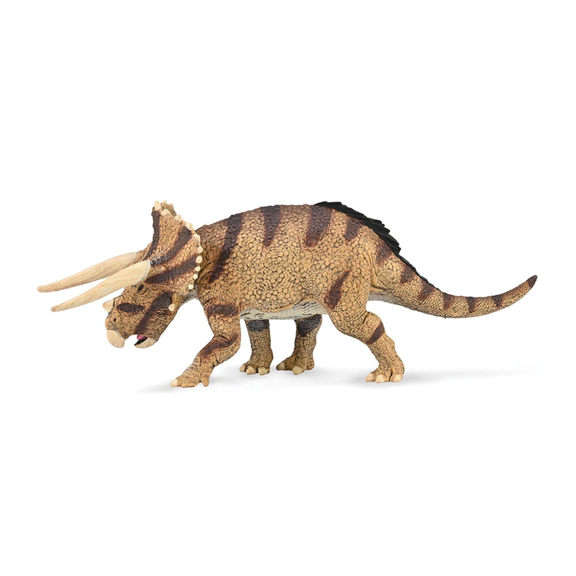 Triceratops Horridus Confronting Dinosaur CollectA Bigjigs Toys