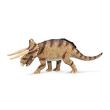 Triceratops horridus - confronting