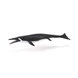 Shastasaurus