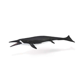 Shastasaurus
