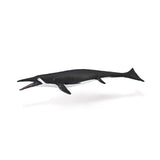 Shastasaurus