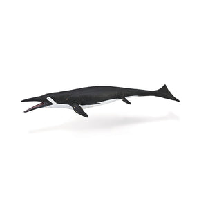 Shastasaurus
