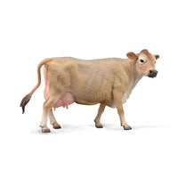 Jersey Cow