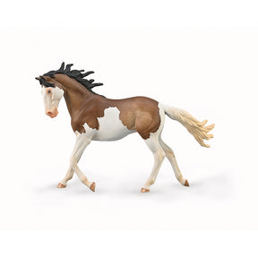 Mustang Mare - Bay Splash Overo