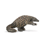 Pangolin