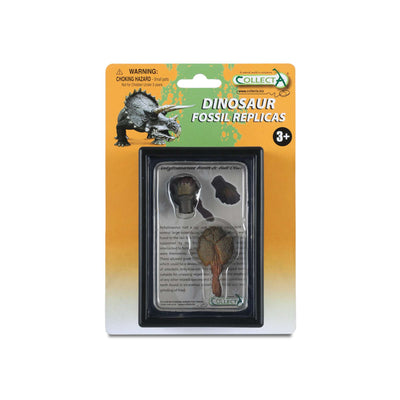 Tooth & Tail Club Of Ankylosaurus In Display Case