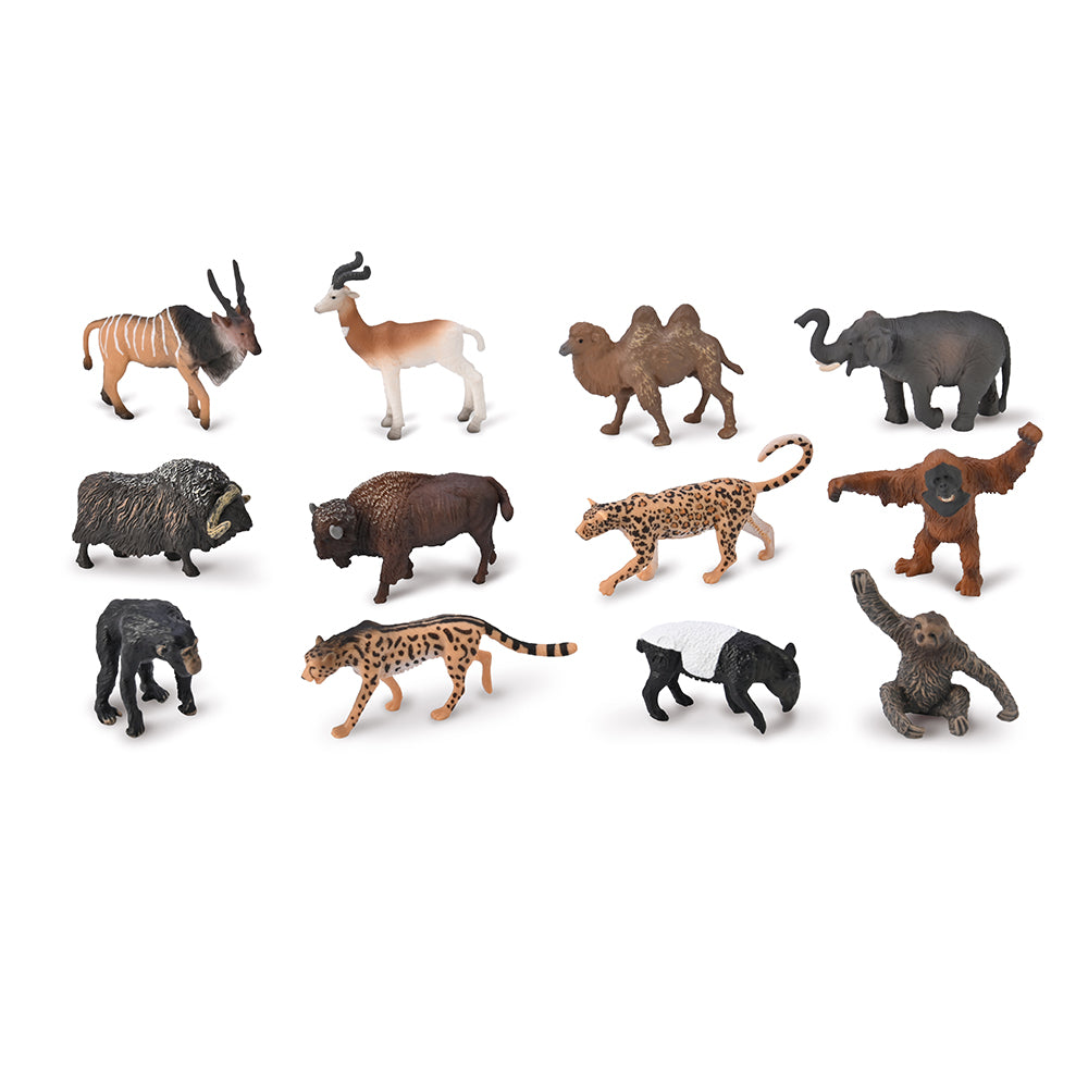 CollectA-Box-of-Mini-Wild-Animals-2-95A1212-1
