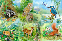 Nature Study - BIG 250 Piece Jigsaw Puzzle