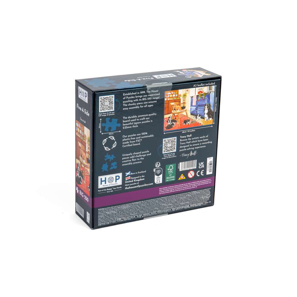 Five-A-Side - BIG 250 Piece Jigsaw Puzzle