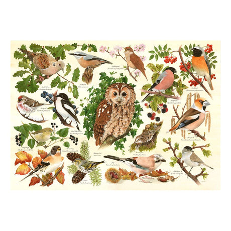 Woodland Birds - BIG 500 Piece Jigsaw Puzzle