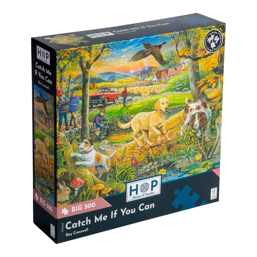 Catch Me If You Can - BIG 500 Piece Jigsaw Puzzle - DAMAGED BOX