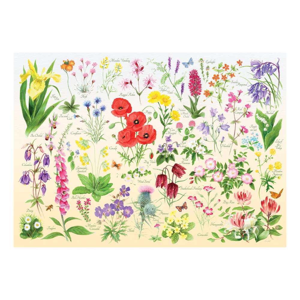 Wildflowers 1000 Piece Jigsaw Puzzle - Damaged Box