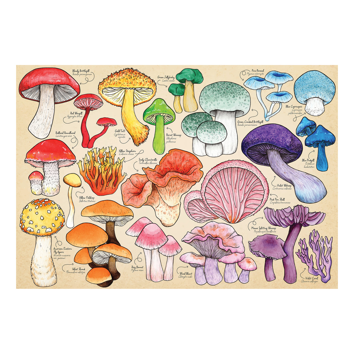 Mushroom Mania 1000 Piece Puzzle - Damaged Box