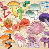 Mushroom Mania Puzzle Tube - 150 Piece