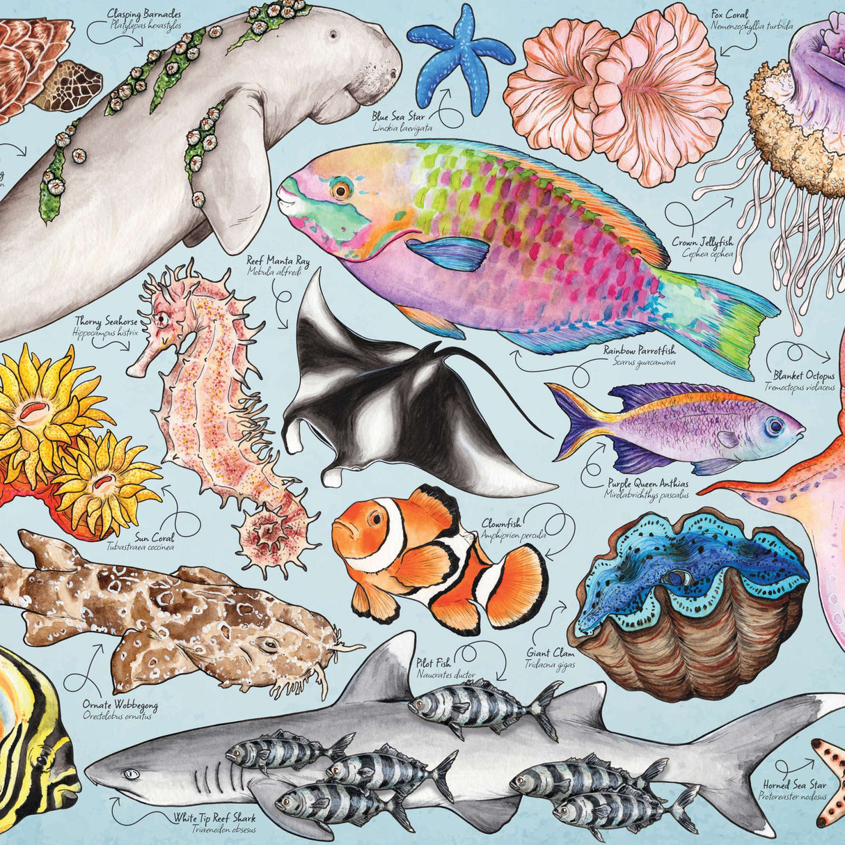 Great Barrier Reef Puzzle Tube - 150 Piece