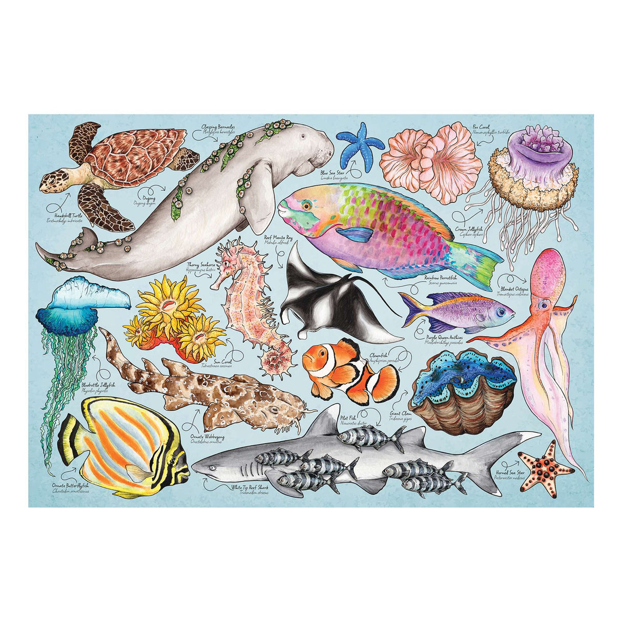 Great Barrier Reef Puzzle Tube - 150 Piece
