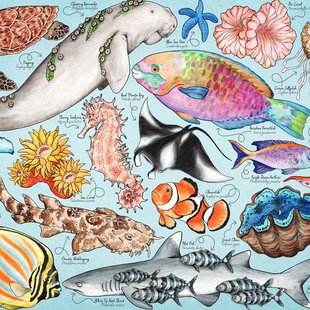 Great Barrier Reef 1000 Piece Jigsaw Puzzle