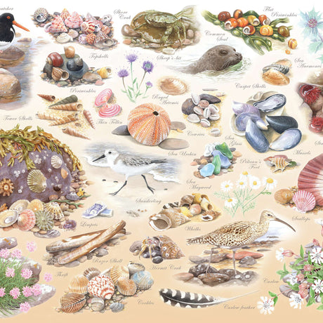 Sea Shore BIG 500 Puzzle