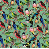 The House of Puzzles ZSL Brilliant Birds 1000 Piece Puzzle- Animal Jigsaw