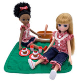 Picnic in the Park - DAMAGED BOX