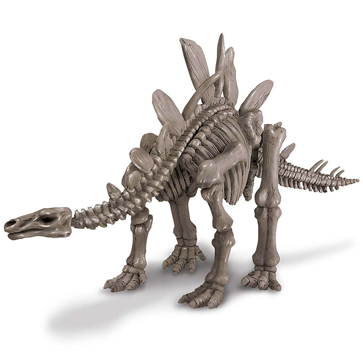 KidzLabs - Dig a Dinosaur Skeleton - Stegosaurus
