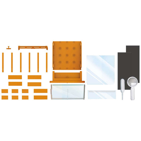 Green Science - Grow-A-Maze